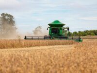 Mato Grosso consolida protagonismo na produção mundial de grãos e fibras