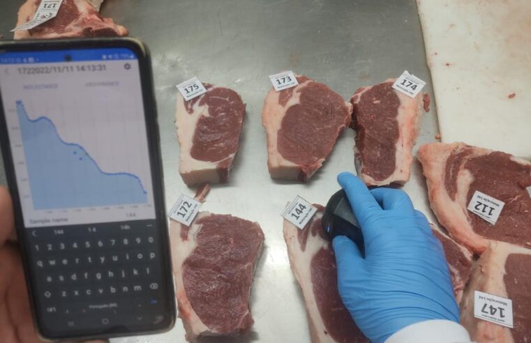 Pesquisa finaliza protótipo para avaliação da qualidade e maciez da carne bovina em tempo real com uso de IA