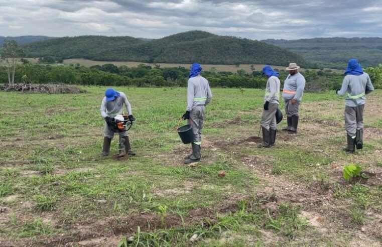 Áreas de recuperação ambiental serão ampliadas com investimentos internacionais