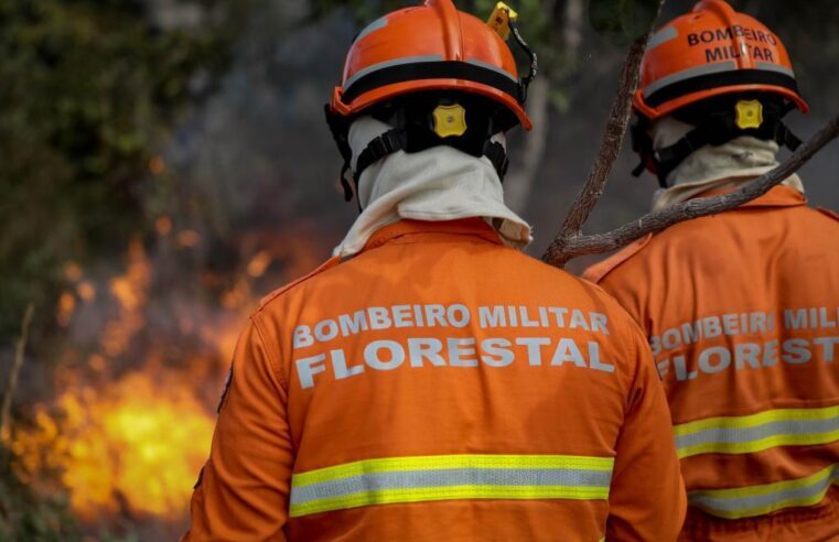 Uso do fogo no Cerrado e na Amazônia está proibido a partir desta terça-feira (1º) em MT